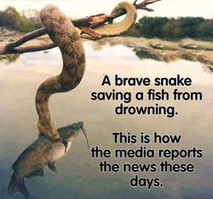 13220975_10154348577170628_1323676336294276873_n