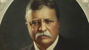 Teddy Roosevelt images