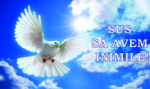 SUS SA AVEM INIMILE