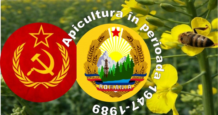 apicultura