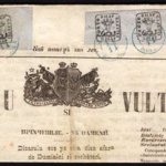 Ziarul_Zimbrulu_si_Vulturulu_iasi