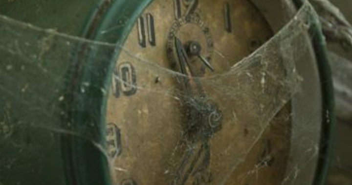 146191462_3813475728675324_7464892554774054112_o